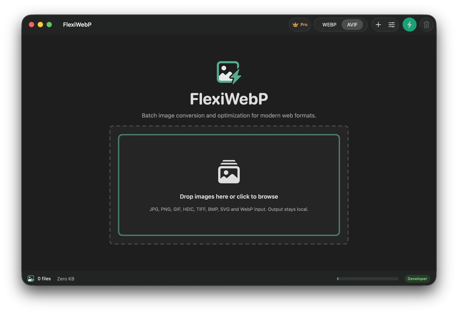 FlexiWebP empty drop zone