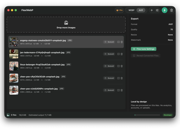 FlexiWebP AVIF batch queue