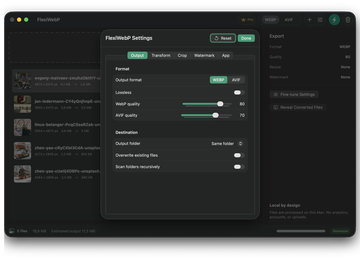 FlexiWebP output settings