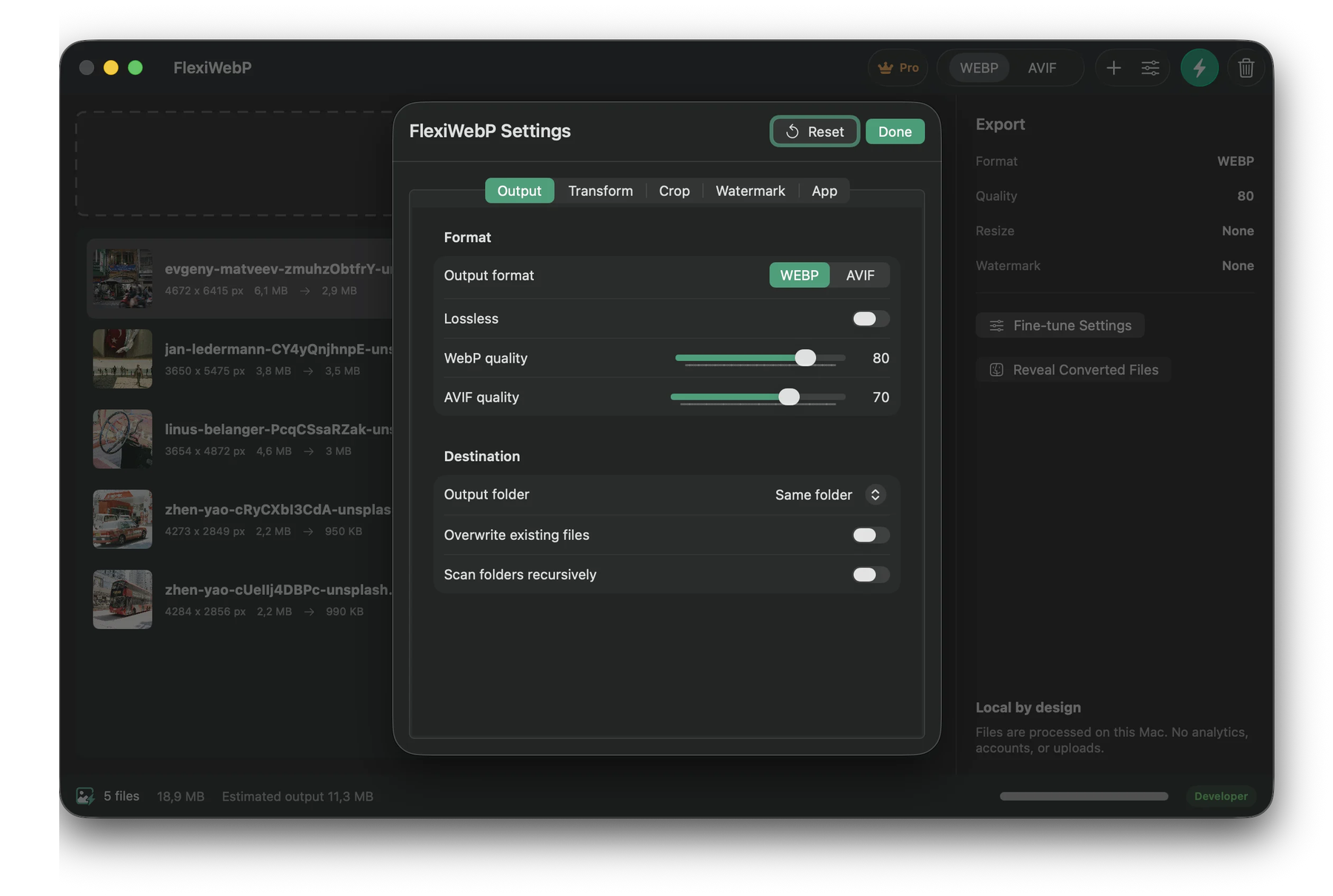 FlexiWebP output settings