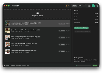 FlexiWebP WebP batch queue