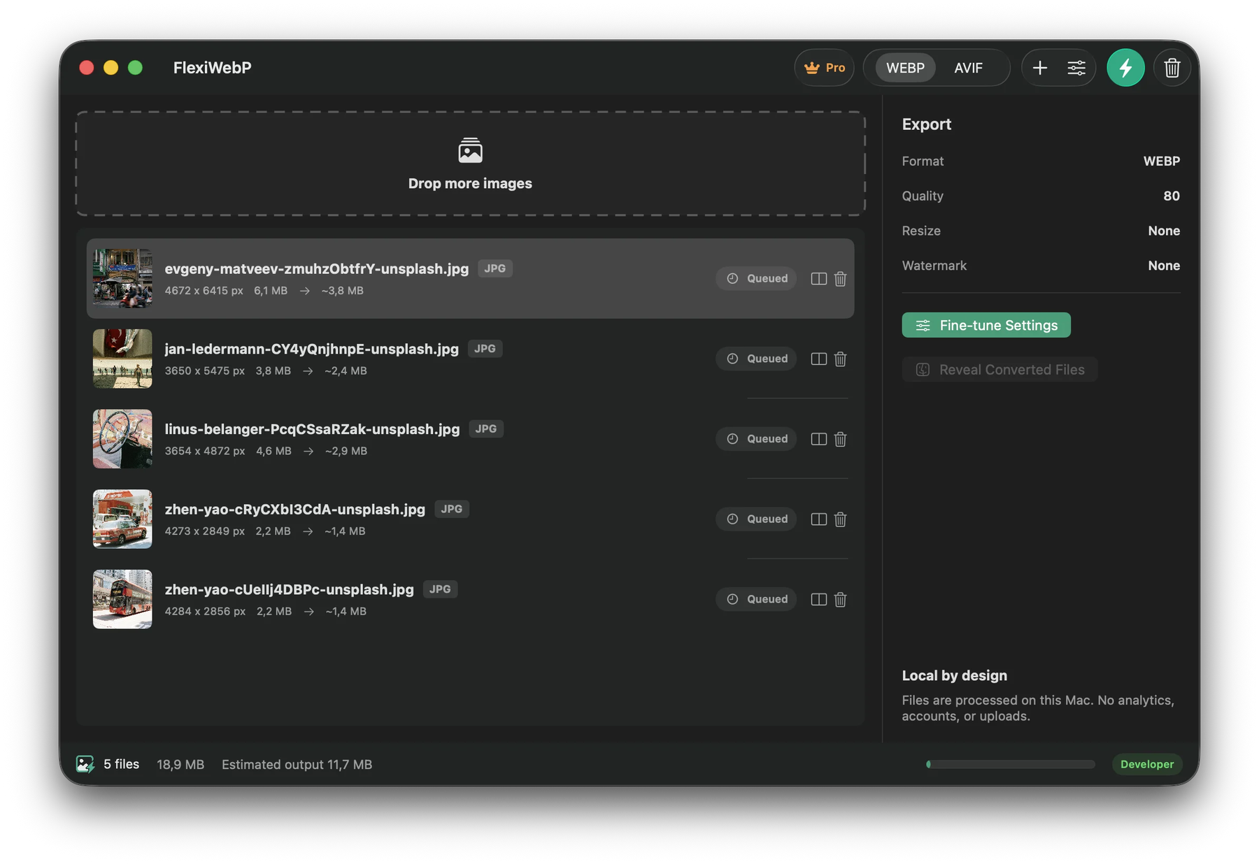 FlexiWebP WebP batch queue